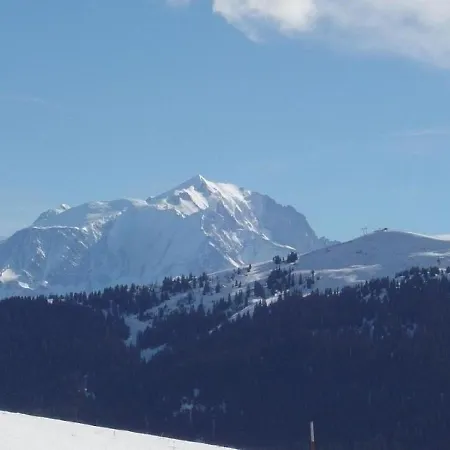 Les Campanules